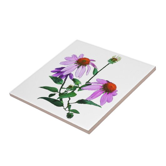 Paarse cefloer op wit tegeltje (Zijkant)