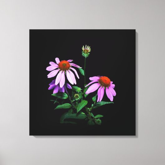 Paarse cefloer op zwart canvas afdruk (Voorkant)