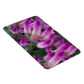 Paarse Celosia Magneet (Rechterzijde)