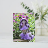 Paarse Chinese Crested Dog in roze bloemen Briefkaart (Staand voorkant)
