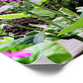 Paarse Chinese Crested Dog in roze bloemen Poster (Hoek)