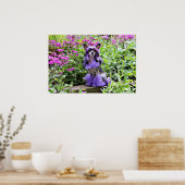 Paarse Chinese Crested Dog in roze bloemen Poster (Keuken)
