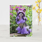 Paarse Chinese KuifHond in Roze Bloemen Kaart (Gele Bloem)