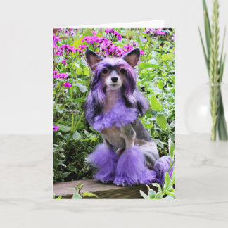 Paarse Chinese KuifHond in Roze Bloemen Kaart