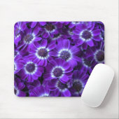 Paarse Cineraria Muismat (Met muis)