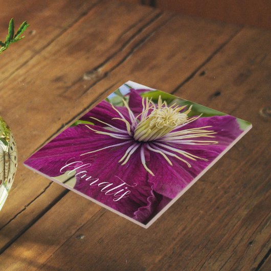 Paarse Clematis Bloem Bloesem Tegeltje