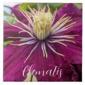 Paarse Clematis Bloem Bloesem Tegeltje (Voorkant)