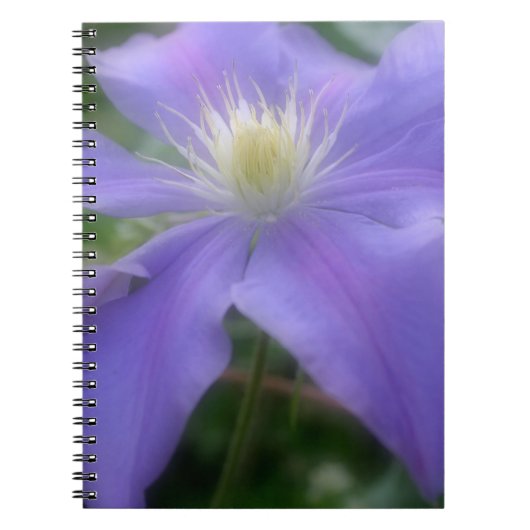 Paarse Clematis Bloem Natuur Notitieboek (Voorkant)
