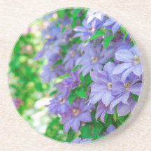 Paarse Clematis bloem