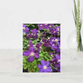 Paarse clematis bloemen en bladeren foto kaart