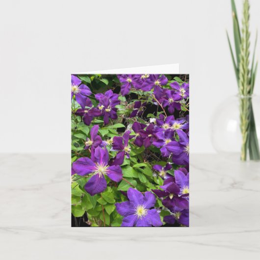 Paarse clematis bloemen en bladeren foto kaart (Voorkant)