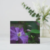 Paarse Clematis Briefkaart (Staand voorkant)