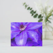 Paarse Clematis Briefkaart (Staand voorkant)