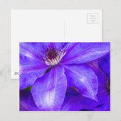 Paarse Clematis Briefkaart (Voorkant / Achterkant)