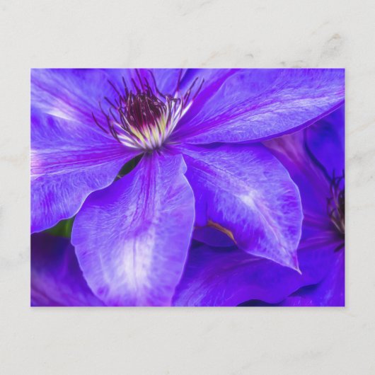 Paarse Clematis Briefkaart (Voorkant)