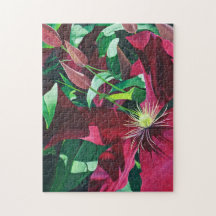 Paarse Clematis Floral