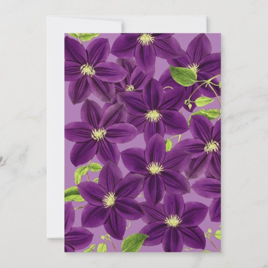  Paarse "Clematis Floral Summer Hummingbird" Kaart (Achterkant)