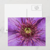 Paarse Clematis Flower Briefkaart (Voorkant / Achterkant)