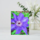 Paarse Clematis Flower Briefkaart (Staand voorkant)