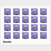 Paarse Clematis Flower Dank u wel Vierkante Sticker (Vel)