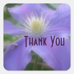 Paarse Clematis Flower Dank u wel Vierkante Sticker