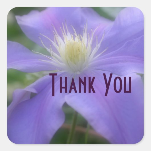 Paarse Clematis Flower Dank u wel Vierkante Sticker (Voorkant)