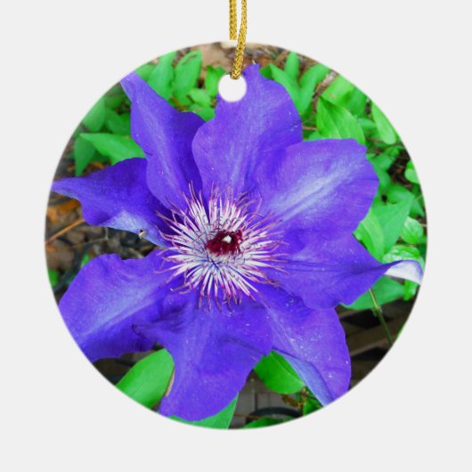 Paarse Clematis Flower Keramisch Ornament (Voorkant)