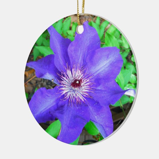 Paarse Clematis Flower Keramisch Ornament (Links)