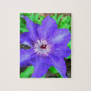 Paarse Clematis Flower Legpuzzel
