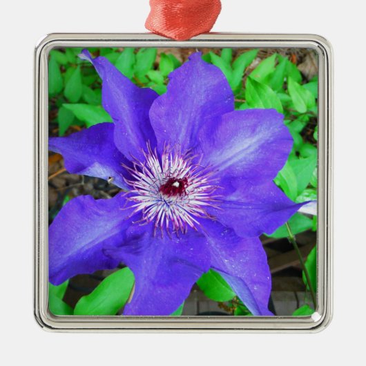 Paarse Clematis Flower Metalen Ornament (Voorkant)