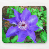 Paarse Clematis Flower Muismat (Voorkant)