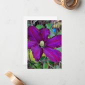 Paarse Clematis Flower Notitiekaartje (Voorkant / Achterkant in situ)