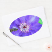 Paarse Clematis Flower Ovale Sticker (Envelop)