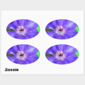 Paarse Clematis Flower Ovale Sticker (Vel)