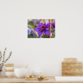 Paarse Clematis Flower Poster (Keuken)