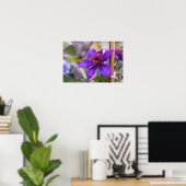 Paarse Clematis Flower Poster (Thuiskantoor)