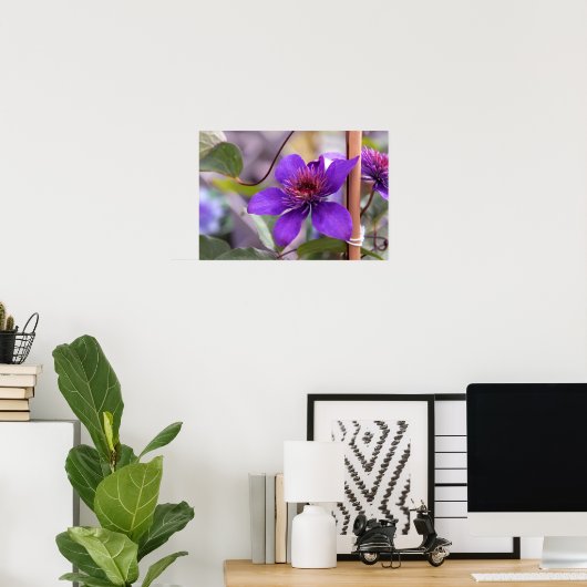 Paarse Clematis Flower Poster (Thuiskantoor)