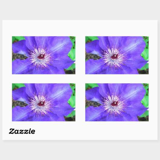 Paarse Clematis Flower Rechthoekige Sticker (Vel)
