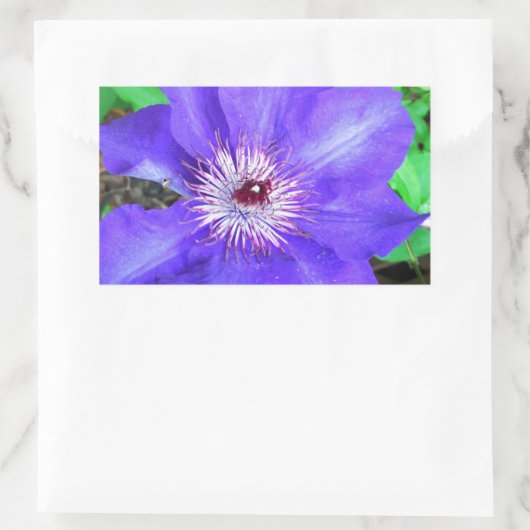 Paarse Clematis Flower Rechthoekige Sticker (Tas)