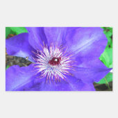 Paarse Clematis Flower Rechthoekige Sticker (Voorkant)