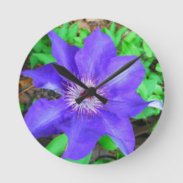 Paarse Clematis Flower Ronde Klok