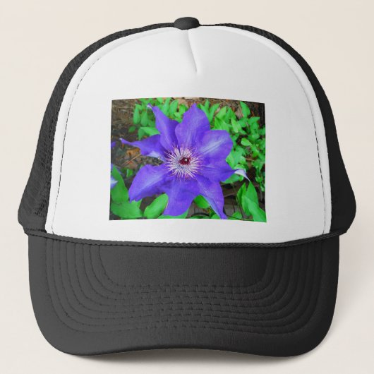 Paarse Clematis Flower Trucker Pet (Voorkant)