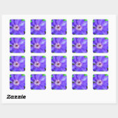 Paarse Clematis Flower Vierkante Sticker (Vel)
