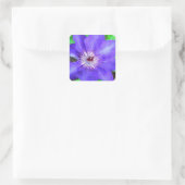 Paarse Clematis Flower Vierkante Sticker (Tas)