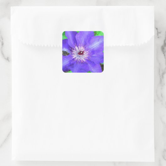 Paarse Clematis Flower Vierkante Sticker (Tas)