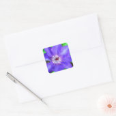 Paarse Clematis Flower Vierkante Sticker (Envelop)