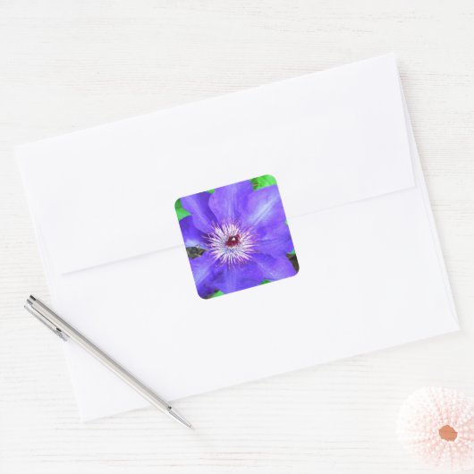 Paarse Clematis Flower Vierkante Sticker (Envelop)