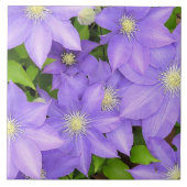 PAARSE CLEMATIS (FOTO) GROTE KERAMISCHE TEGEL / TR TEGELTJE (Voorkant)