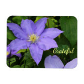 Paarse Clematis Gratitude Magneet (Horizontaal)