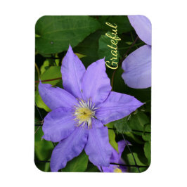 Paarse Clematis Gratitude Magneet